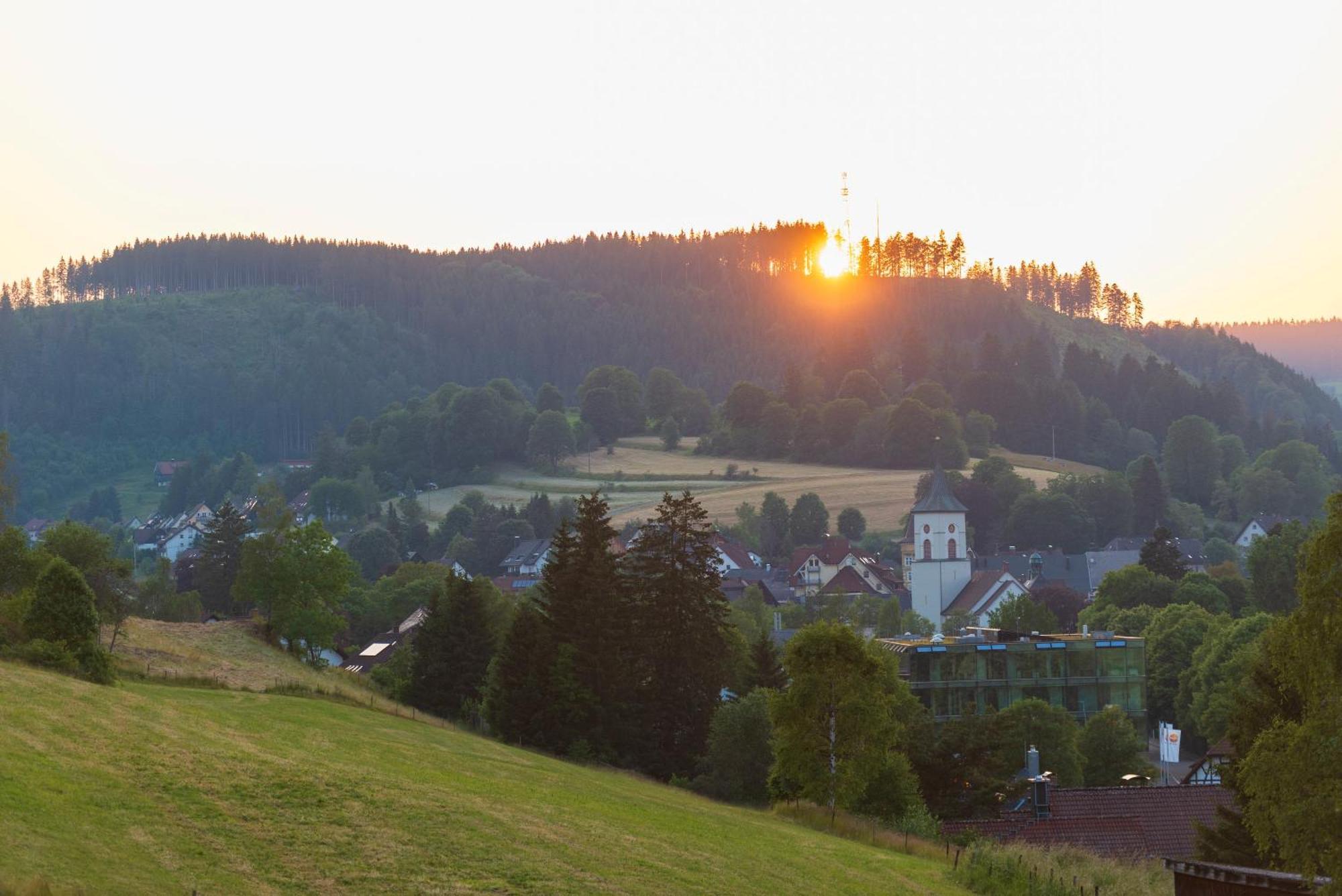 Ferienwohnung Waelderliebe Lenzkirch Exterior photo